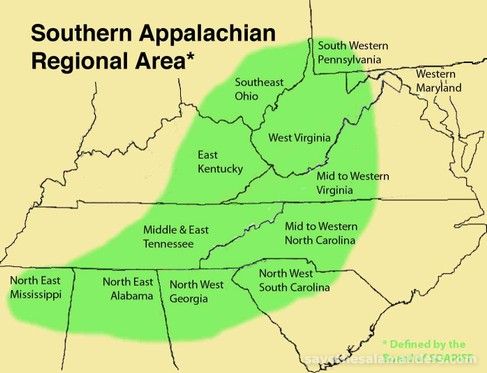 Southern Appalachian Mountains Salamandering