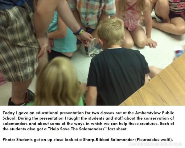 Salamanders @ Amherstview Public School