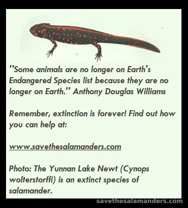Extinction is Forever