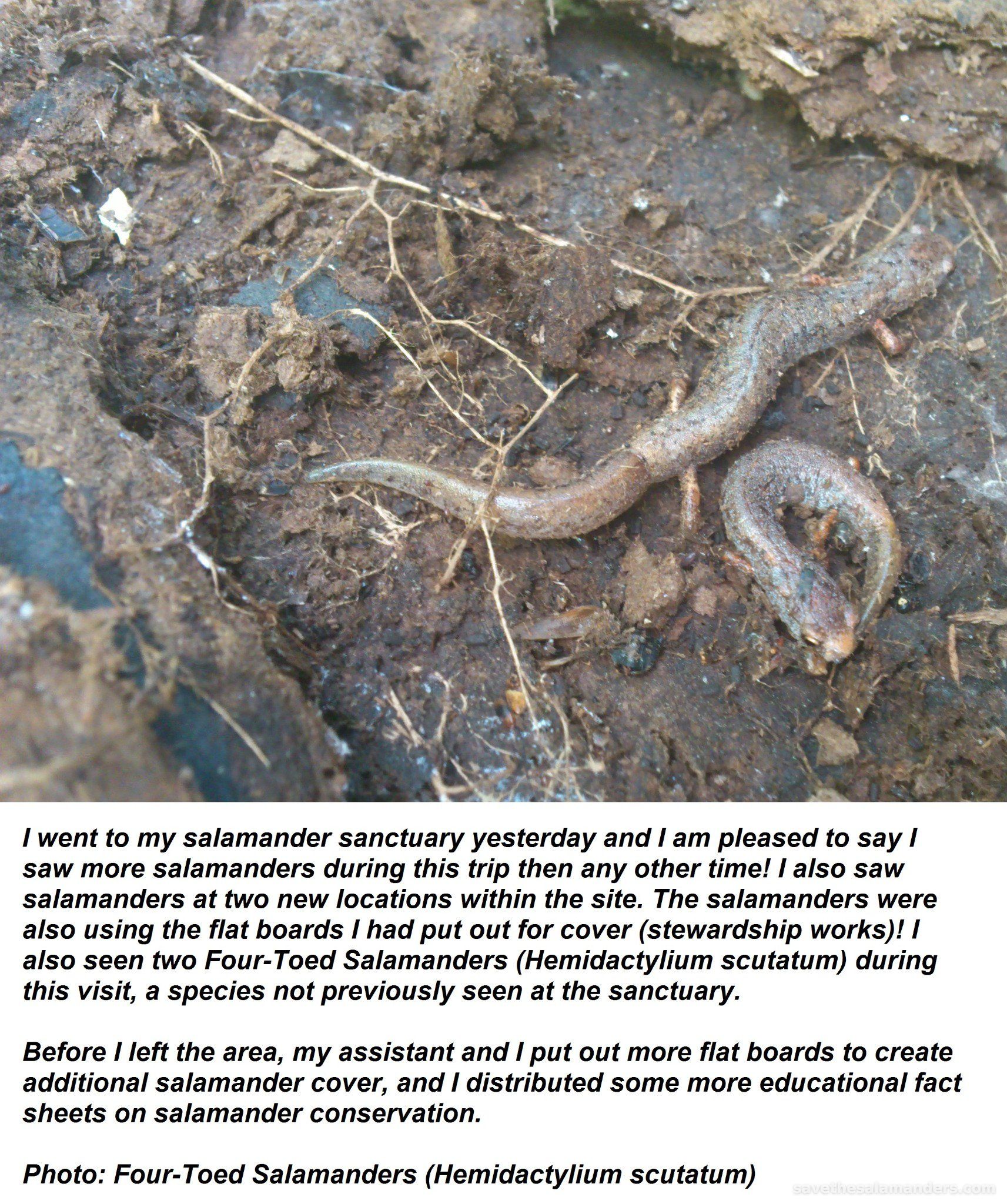 Stewardship Works
