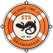 Save The Salamanders