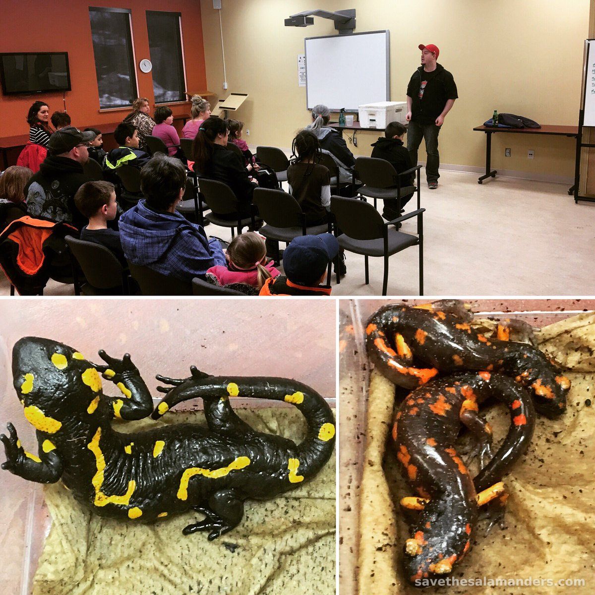 Tweed Public Library Presentation